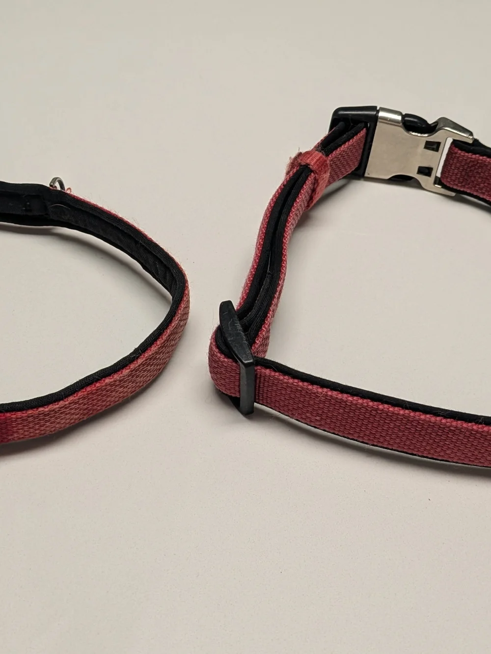 Kong Red Nylon Adjustable Dog Collars - Set of Two